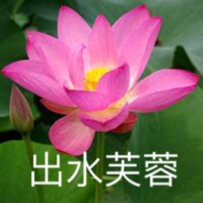 噬天神魔手游下载
